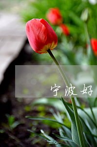 宁波好的婚姻律师 宁波好的婚姻律师