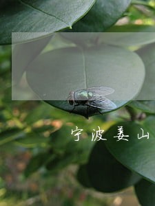 宁波姜山法院能不能调解了 宁波姜山法院能不能调解了