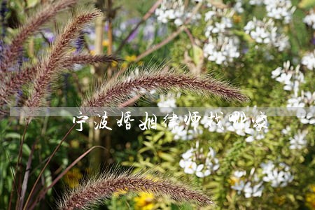 宁波婚姻律师找哪家 宁波婚姻律师找哪家