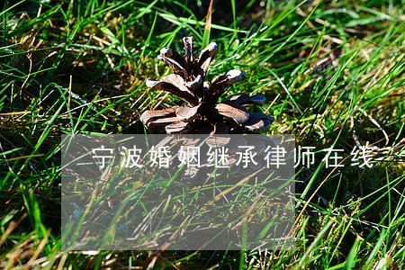 宁波婚姻继承律师在线 宁波婚姻继承律师在线