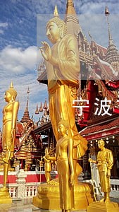 宁波市上诉离婚律师收费标准 宁波市上诉离婚律师收费标准
