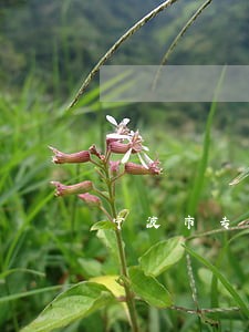 宁波市专业债务律师有哪些 宁波市专业债务律师有哪些