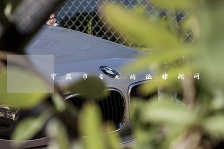宁波市专业的法律顾问 宁波市专业的法律顾问