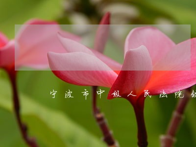 宁波市中级人民法院领导班子 宁波市中级人民法院领导班子