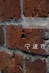 宁波市今天违法处理 宁波市今天违法处理