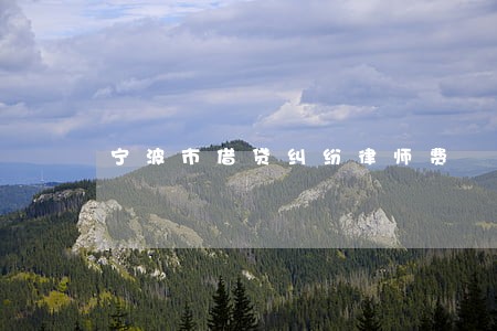 宁波市借贷纠纷律师费 宁波市借贷纠纷律师费
