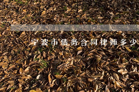 宁波市债务合同律师多少钱 宁波市债务合同律师多少钱