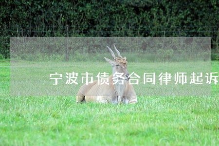 宁波市债务合同律师起诉费用 宁波市债务合同律师起诉费用