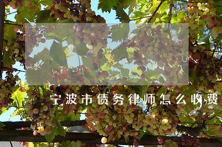 宁波市债务律师怎么收费 宁波市债务律师怎么收费