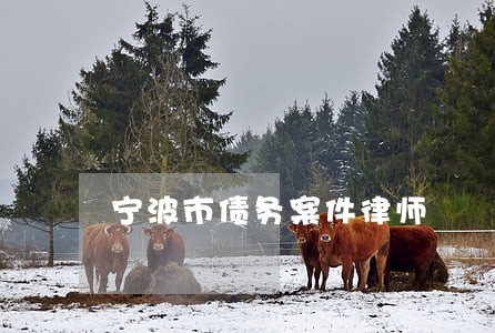 宁波市债务案件律师 宁波市债务案件律师