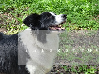 宁波市债权债务律师电话咨询 宁波市债权债务律师电话咨询