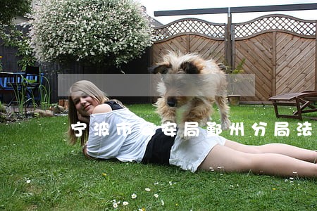 宁波市公安局鄞州分局法律顾问 宁波市公安局鄞州分局法律顾问