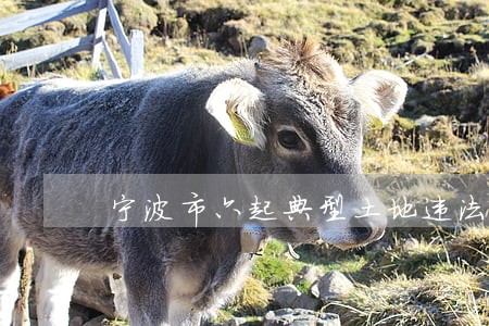 宁波市六起典型土地违法案件曝光 宁波市六起典型土地违法案件曝光