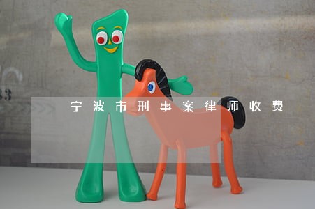 宁波市刑事案律师收费 宁波市刑事案律师收费