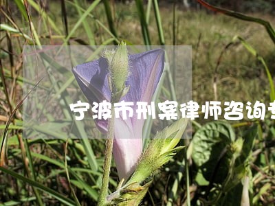 宁波市刑案律师咨询专线 宁波市刑案律师咨询专线