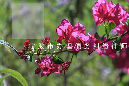 宁波市办理债务纠纷律师有哪些 宁波市办理债务纠纷律师有哪些