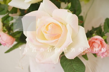 宁波市好的债务纠纷律师代理费 宁波市好的债务纠纷律师代理费