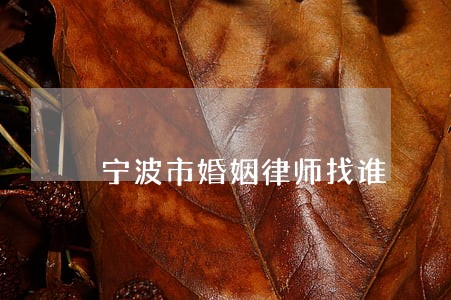 宁波市婚姻律师找谁 宁波市婚姻律师找谁