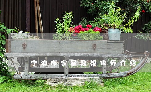 宁波市家暴离婚律师介绍 宁波市家暴离婚律师介绍