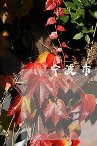 宁波市工程索赔律师哪里找 宁波市工程索赔律师哪里找