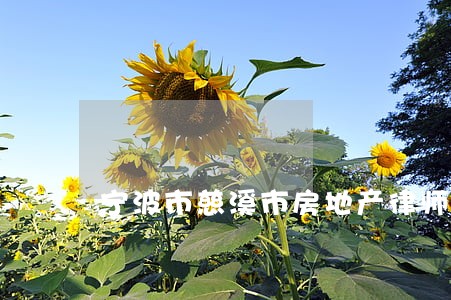 宁波市慈溪市房地产律师 宁波市慈溪市房地产律师