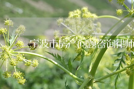 宁波市房产问题咨询律师法律咨询 宁波市房产问题咨询律师法律咨询