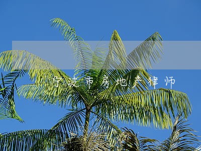 宁波市房地产律师 宁波市房地产律师