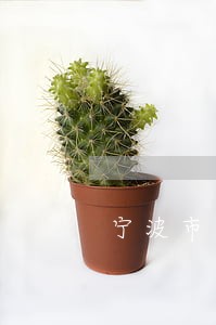 宁波市房地产律师排行 宁波市房地产律师排行