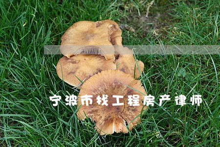 宁波市找工程房产律师 宁波市找工程房产律师