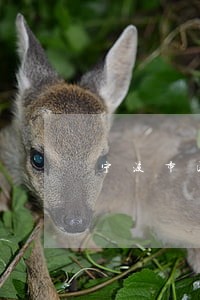 宁波市民事债务律师电话多少 宁波市民事债务律师电话多少
