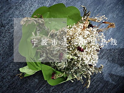 宁波市法律援助热线 宁波市法律援助热线