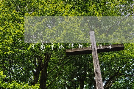 宁波市法律顾问招标