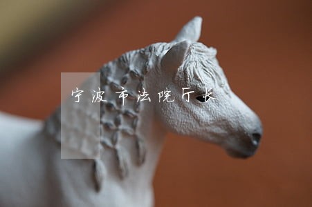 宁波市法院厅长 宁波市法院厅长