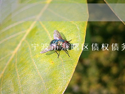 宁波市海曙区债权债务律师 宁波市海曙区债权债务律师