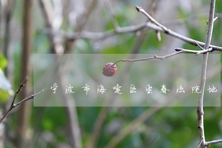 宁波市海曙区望春法院地址 宁波市海曙区望春法院地址