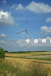 宁波市的交通违法查询