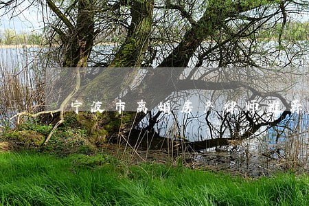 宁波市离婚房产律师推荐