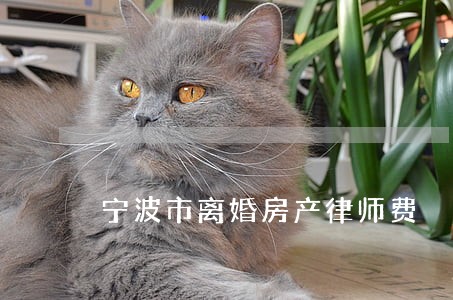 宁波市离婚房产律师费 宁波市离婚房产律师费