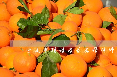 宁波市聘请家暴离婚律师 宁波市聘请家暴离婚律师