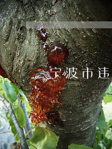 宁波市违法举报电话 宁波市违法举报电话