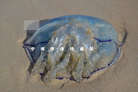 宁波市违法建筑