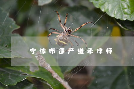 宁波市遗产继承律师 宁波市遗产继承律师