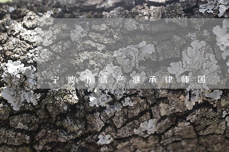 宁波市遗产继承律师团 宁波市遗产继承律师团