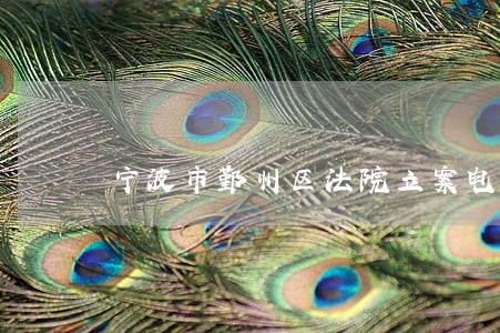 宁波市鄞州区法院立案电话号码