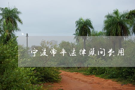 宁波常年法律顾问费用 宁波常年法律顾问费用