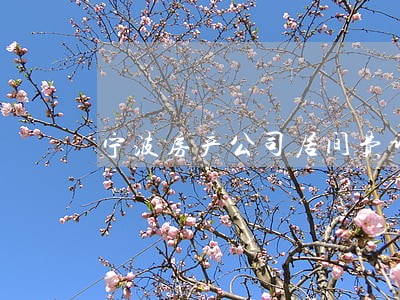 宁波房产公司居间费诉讼 宁波房产公司居间费诉讼
