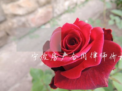 宁波房产合同律师价格 宁波房产合同律师价格