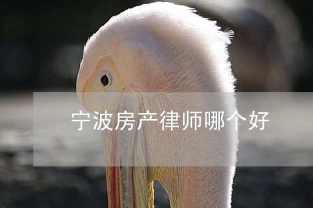 宁波房产律师哪个好 宁波房产律师哪个好