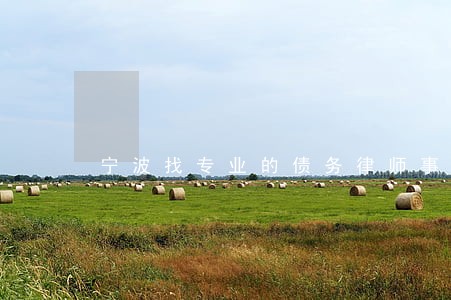 宁波找专业的债务律师事务所 宁波找专业的债务律师事务所