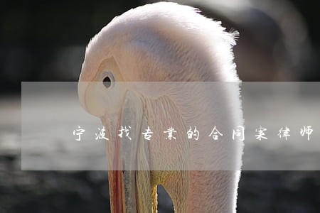 宁波找专业的合同案律师 宁波找专业的合同案律师